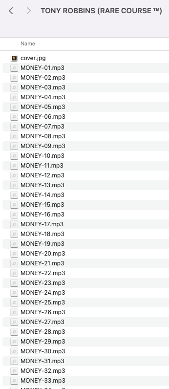 TONY ROBBINS (RARE COURSE ) Audio Only.-Premium 2 TONY ROBBINS (RARE COURSE ) Audio Only.-Premium - Image 2