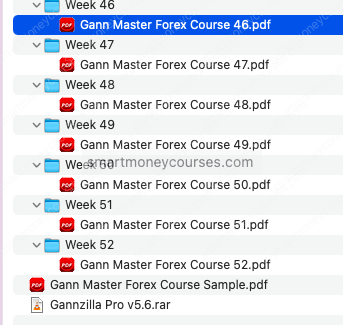 Matei – Gann Master Forex Course 2023 3 Matei – Gann Master Forex Course 2023 - Image 3