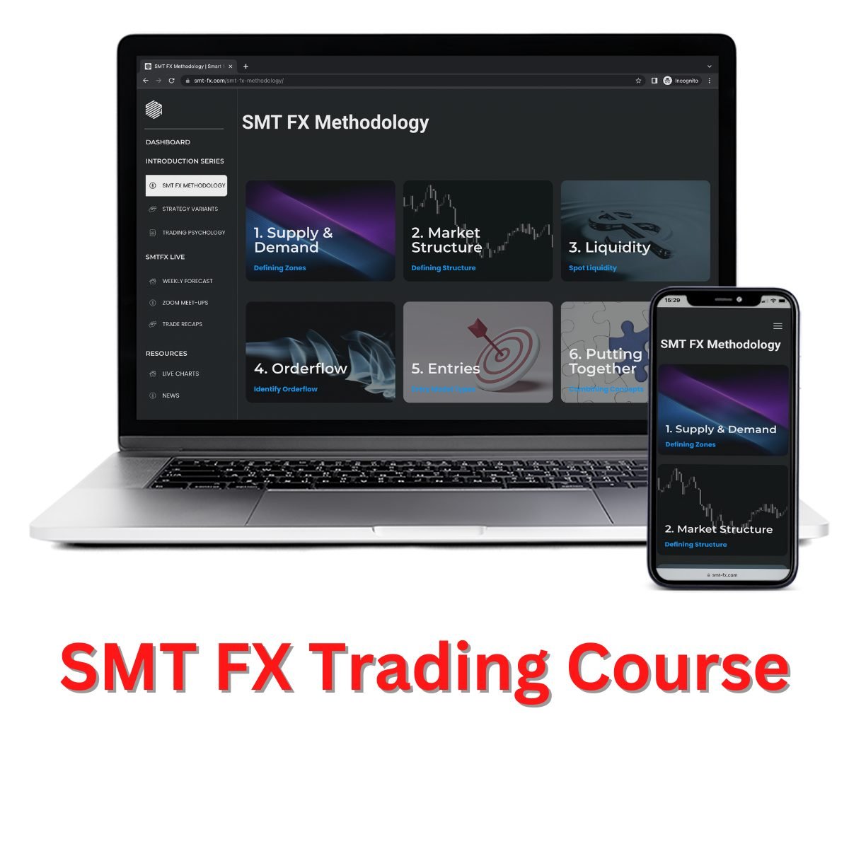 SMT FX Trading Course 1 SMT FX Trading Course