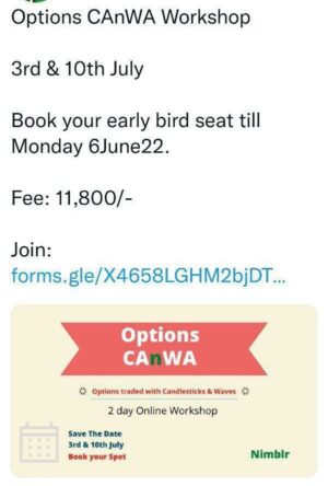 Nimblr Options Canwa Workshop