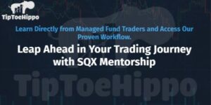 TipToeHippo – Strategy Quant Mentorship