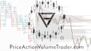 PAVolumeTrader – Day Trading with Volume Profile and Orderflow