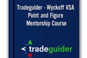 David Weise –  Point & Figure Mentorship Course