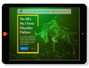 [Download] Financial Markets Online – VIP Membership (2021)