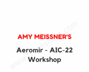 Aeromir - Amy Meissner's AIC-22 Workshop
