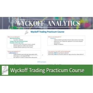 Wyckoff Trading Practicum Course 2019