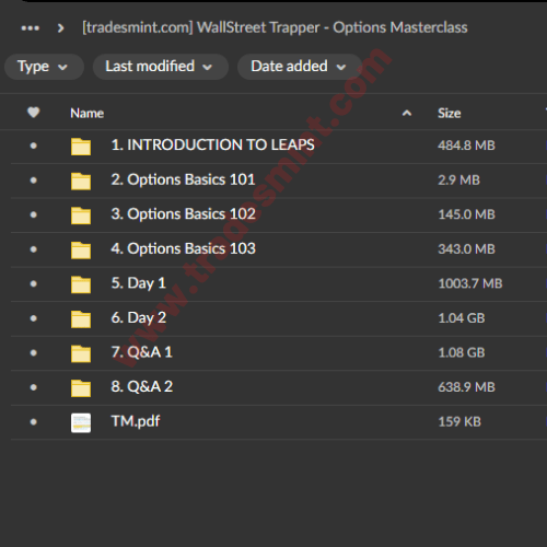 WallStreet Trapper - Options Masterclass 2 WallStreet Trapper - Options Masterclass - Image 2
