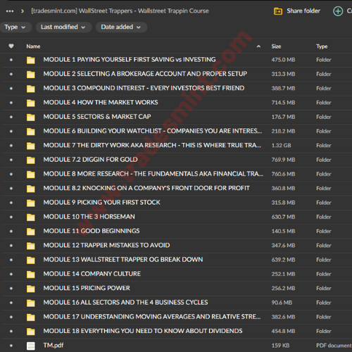 WallStreet Trappers - Wallstreet Trappin Course 2 WallStreet Trappers - Wallstreet Trappin Course - Image 2