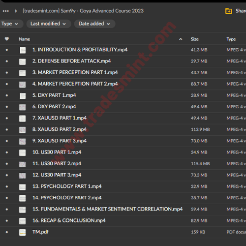 Sam9y - Goya Advanced Course 2 Sam9y - Goya Advanced Course - Image 2