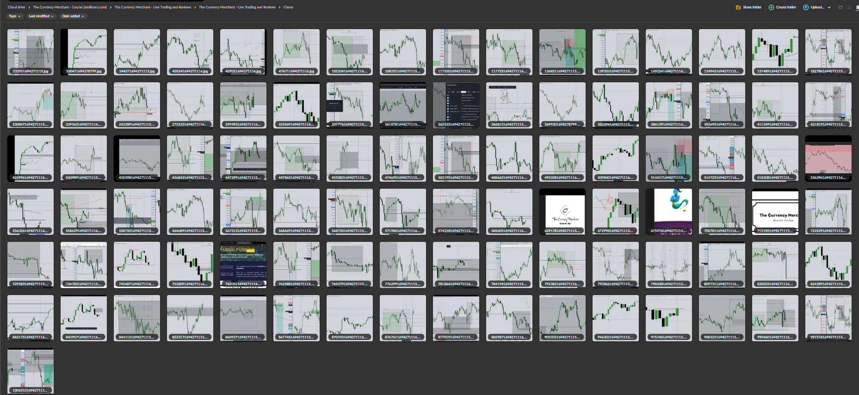 The Currency Merchant Course (2024 Updated) 5 The Currency Merchant Course (2024 Updated) - Image 5