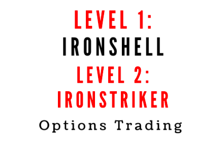 Options Trading Course (Level 1 Ironshell & Level 2: Ironstriker) 1 Options Trading Course (Level 1 Ironshell & Level 2: Ironstriker)