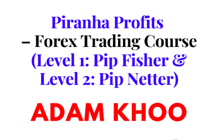 Piranha Profits – Forex Trading Course (Level 1: Pip Fisher & Level 2: Pip Netter) 1 Piranha Profits – Forex Trading Course (Level 1: Pip Fisher & Level 2: Pip Netter)