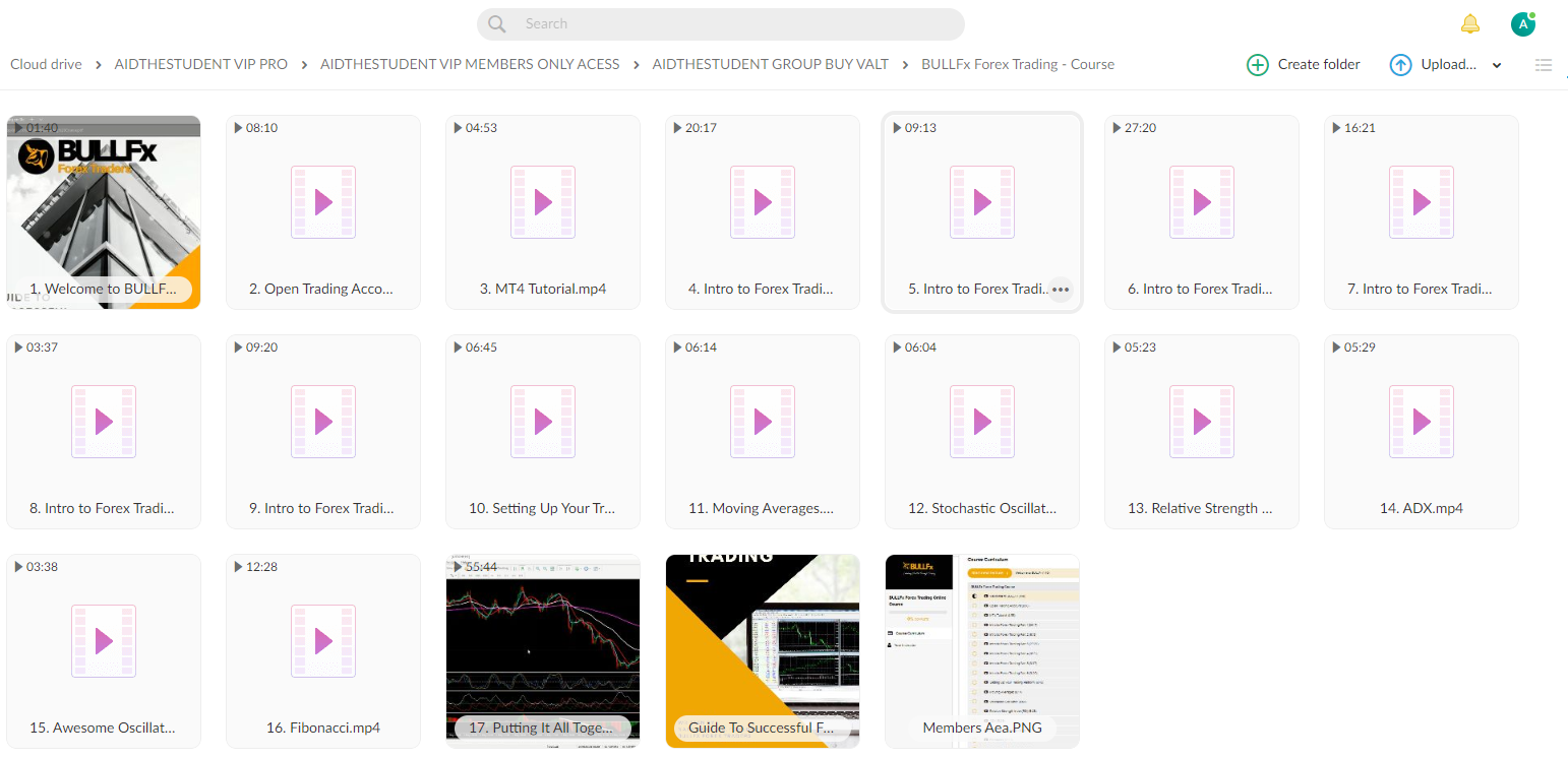 BULLFX FOREX TRADING COURSE 1 BULLFX FOREX TRADING COURSE