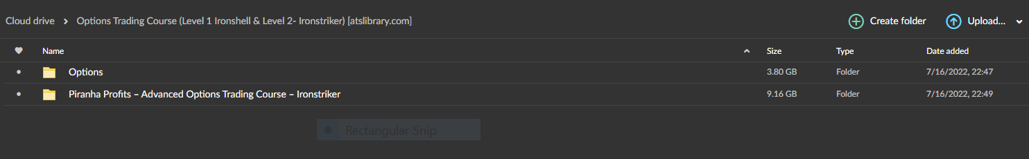 Options Trading Course (Level 1 Ironshell & Level 2: Ironstriker) 3 Options Trading Course (Level 1 Ironshell & Level 2: Ironstriker) - Image 3