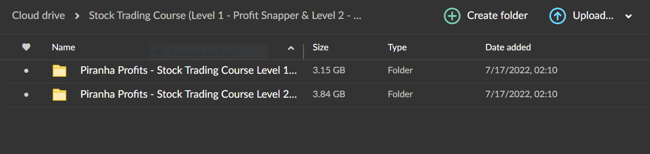 Stock Trading Course (Level 1: Profit Snapper & Level 2: Market Snapper) 2 Stock Trading Course (Level 1: Profit Snapper & Level 2: Market Snapper) - Image 2