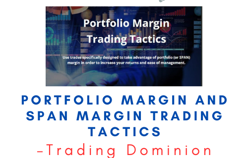 Trading Dominion – Portfolio Margin and SPAN Margin Trading Tactics 1 Trading Dominion – Portfolio Margin and SPAN Margin Trading Tactics