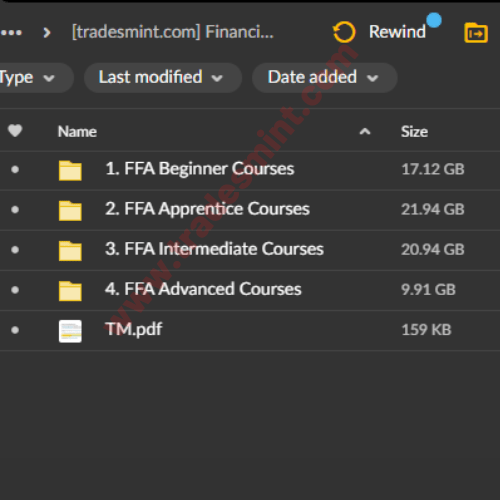 Financial Freedom Academy Course 2 Financial Freedom Academy Course - Image 2