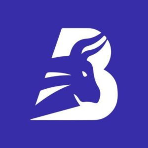 Bullscout Premium Course 2024