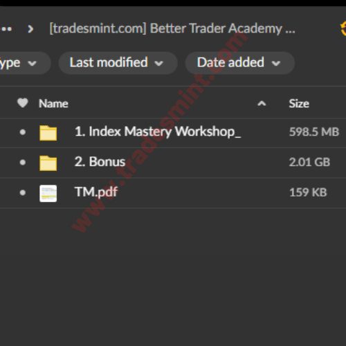 Better Trader Academy – Index Mastery Program 2 Better Trader Academy – Index Mastery Program - Image 2