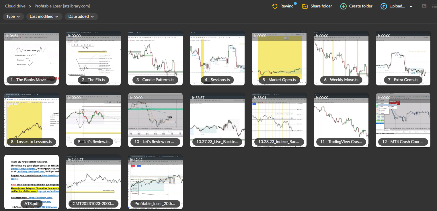 THE PROFITABLE LOSER MENTORSHIP COURSE 2 THE PROFITABLE LOSER MENTORSHIP COURSE - Image 2