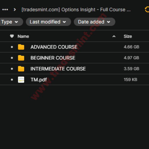 Options Insight - Full Course Bundle 2 Options Insight - Full Course Bundle - Image 2