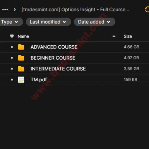 Options Insight - Full Course Bundle 2 Options Insight - Full Course Bundle - Image 2