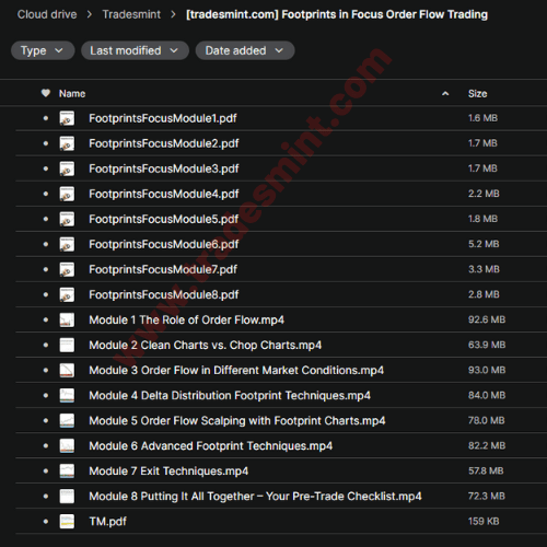 Mike Valtos - Footprints In Focus Order Flow Trading 2 Mike Valtos - Footprints In Focus Order Flow Trading - Image 2