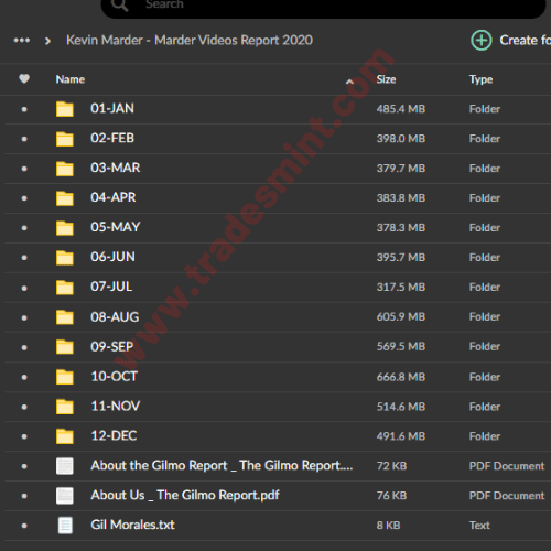 Kevin Marder - Marder Videos Reports 2019-2022 3 Kevin Marder - Marder Videos Reports 2019-2022 - Image 3