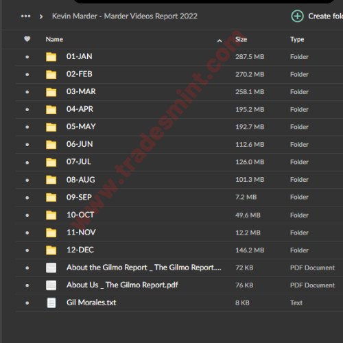 Kevin Marder - Marder Videos Reports 2019-2022 4 Kevin Marder - Marder Videos Reports 2019-2022 - Image 4