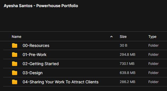 Ayesha Santos – Powerhouse Portfolio 2 Ayesha Santos – Powerhouse Portfolio - Image 2