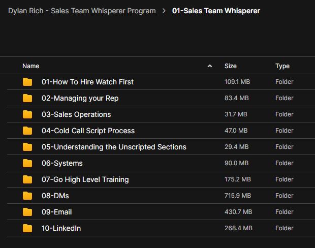 Dylan Rich – Sales Team Whisperer Program 3 Dylan Rich – Sales Team Whisperer Program - Image 3