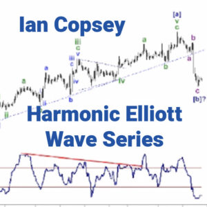 Ian Copsey – Harmonic Elliott Wave Series