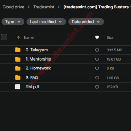 Trading Busters - Mentorship 2024 2 Trading Busters - Mentorship 2024 - Image 2