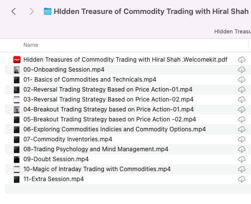 HIdden Treasure of Commodity Trading with Hiral Shah 2025 2 HIdden Treasure of Commodity Trading with Hiral Shah 2025 - Image 2