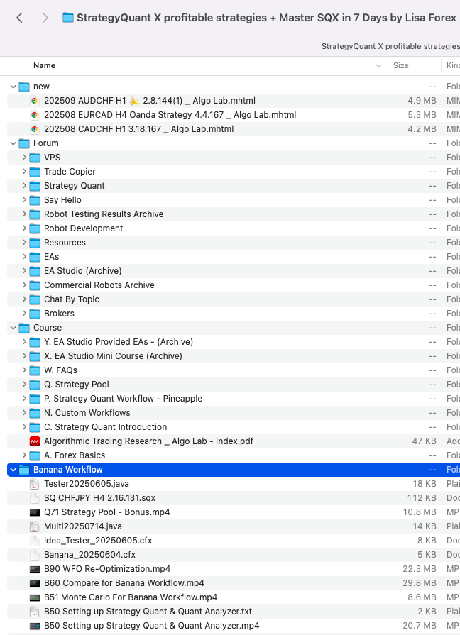 Lisa Forex ( Algo Lab) – Build Profitable Trading Strategies 2 Lisa Forex ( Algo Lab) – Build Profitable Trading Strategies - Image 2